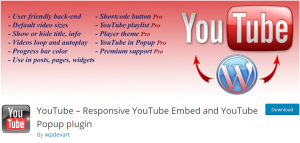 WordPress YouTube Embed