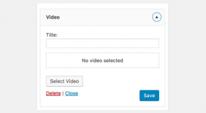 Wordpress Video Widget